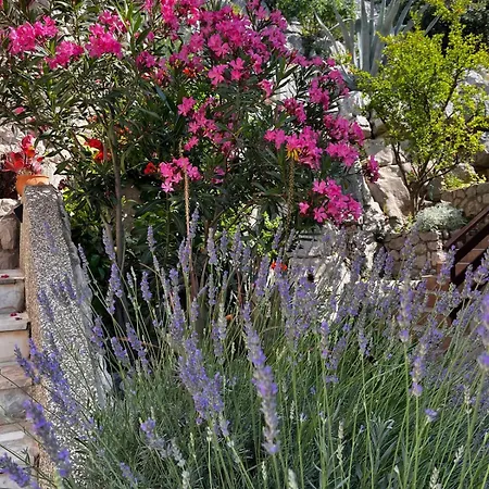 Marica & Joso * Drage