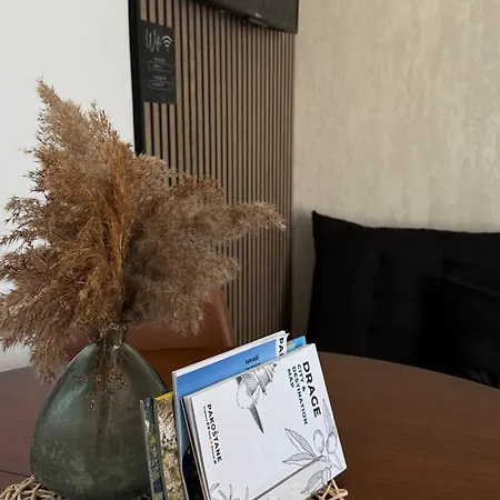 Marica & Joso 公寓 德拉格