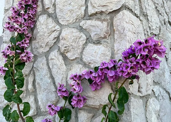 Marica & Joso Apartman Drage