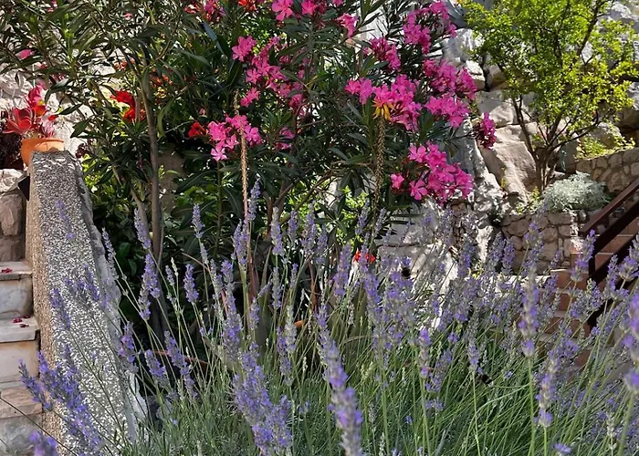 Marica & Joso * Drage